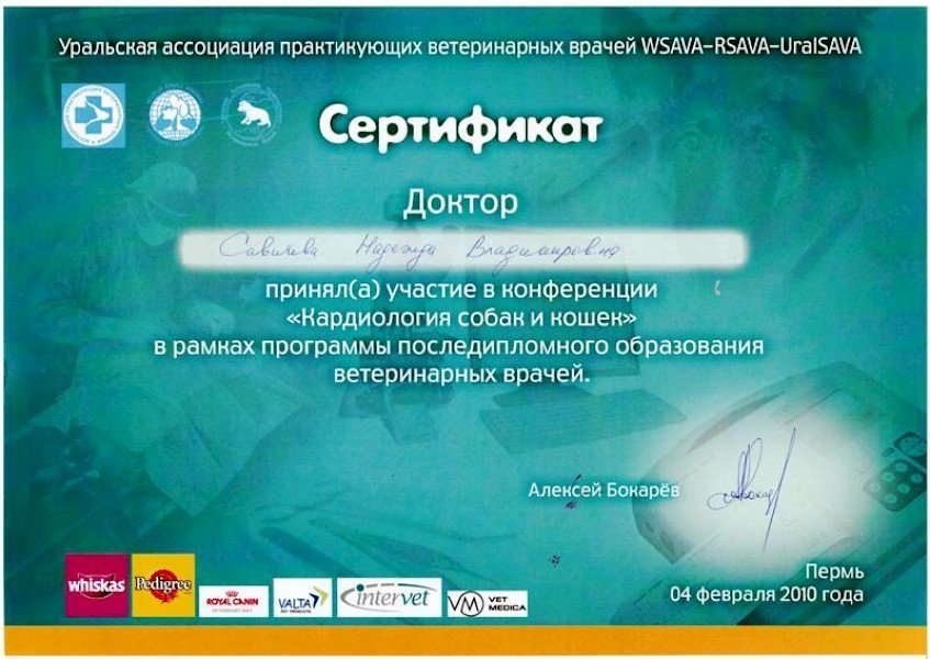 Документ или сертификат