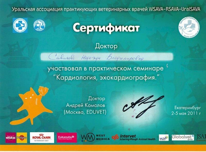 Документ или сертификат