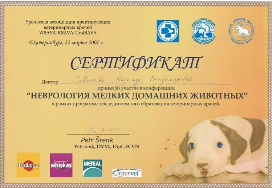 Документ или сертификат