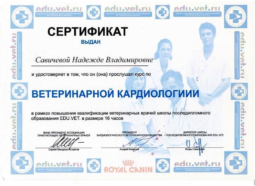 Документ или сертификат