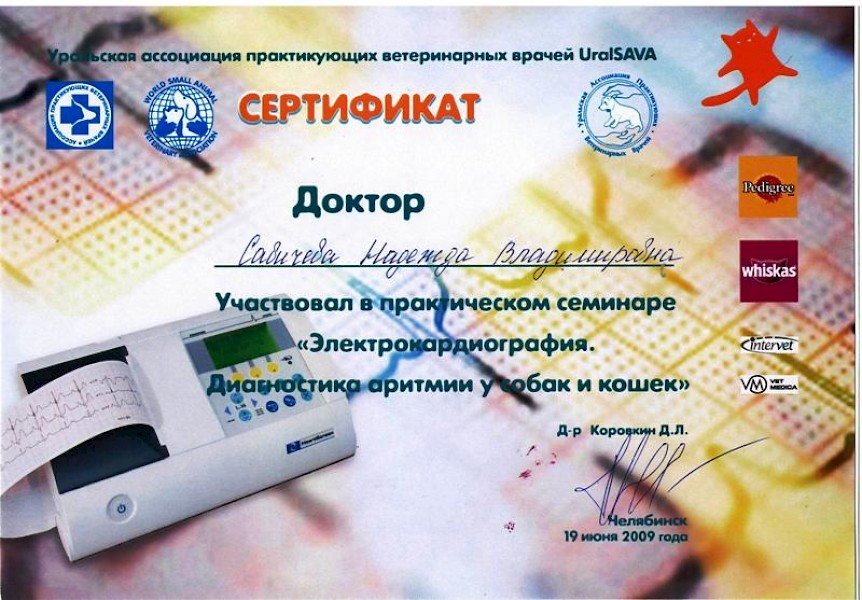 Документ или сертификат