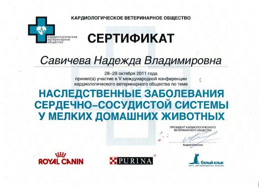 Документ или сертификат