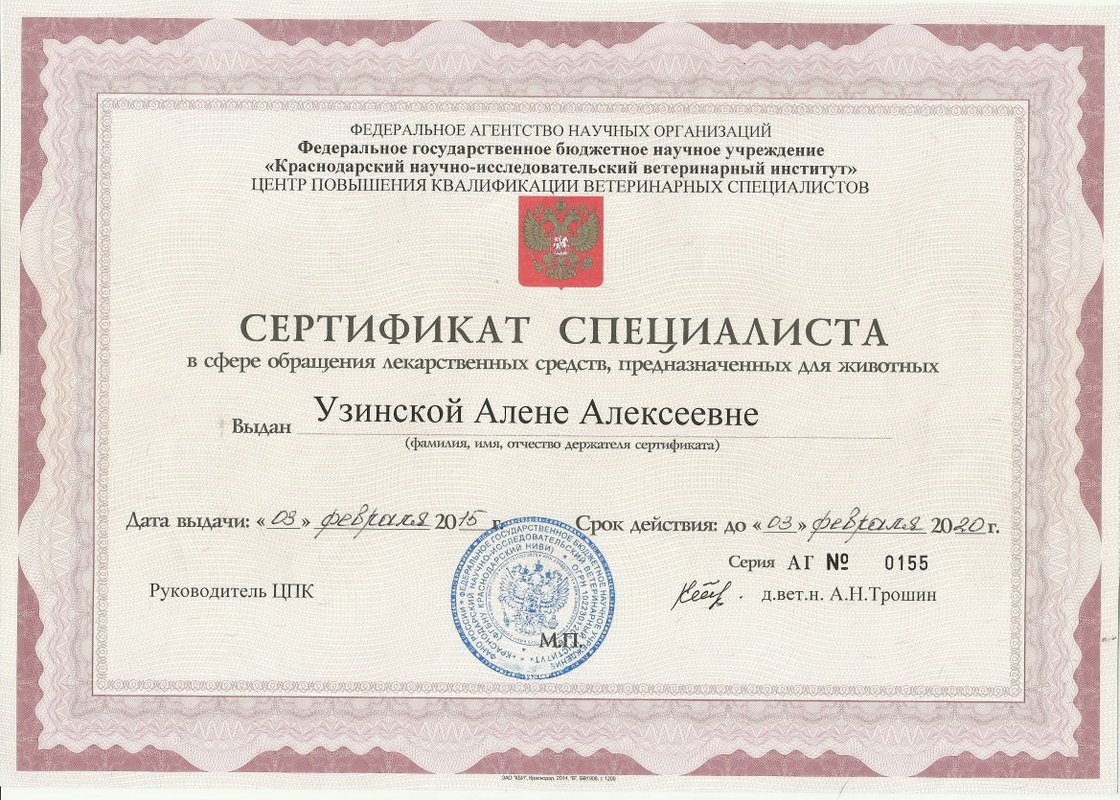 Документ или сертификат