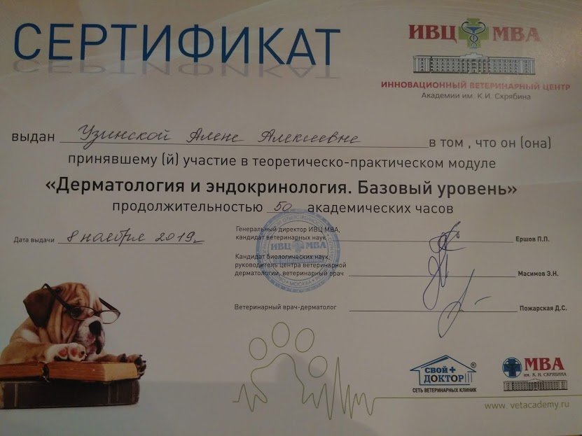 Документ или сертификат