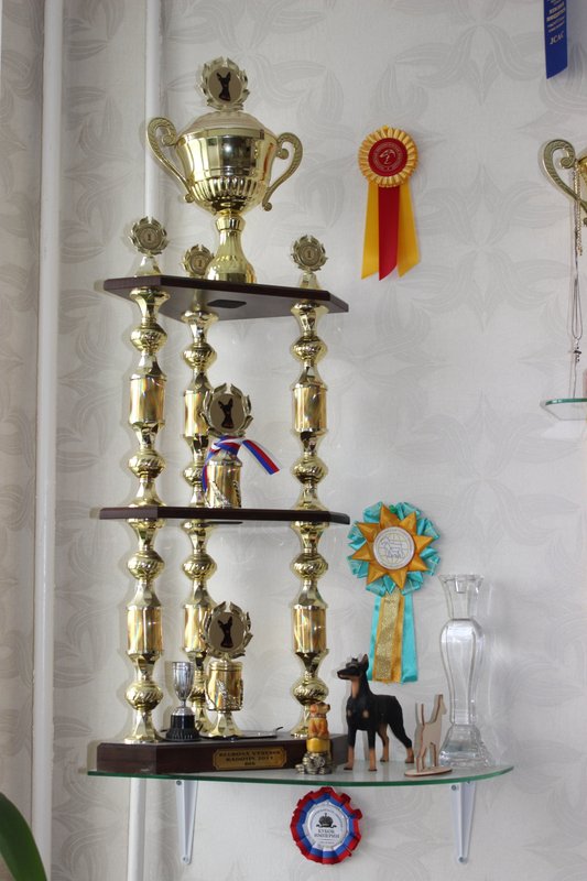 Фото врача