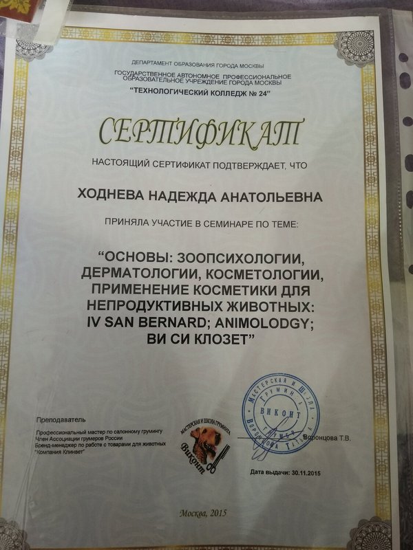 Документ или сертификат