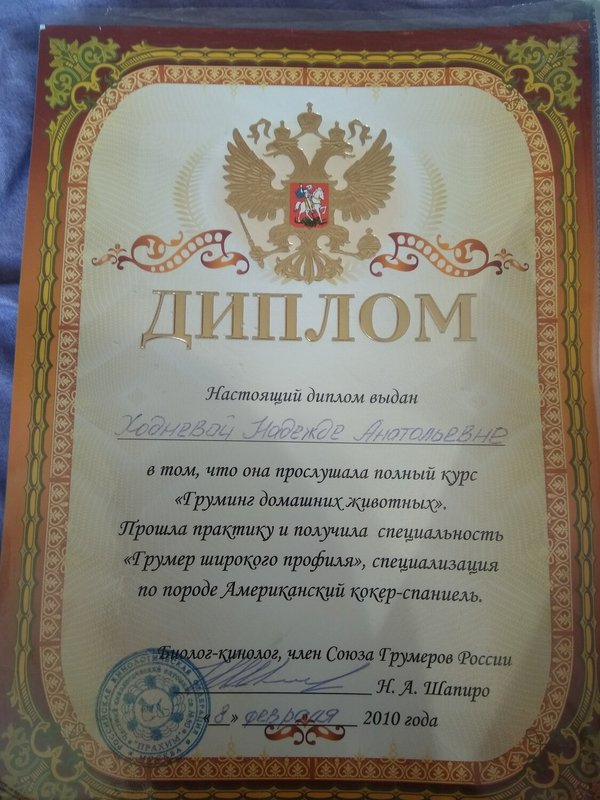 Документ или сертификат