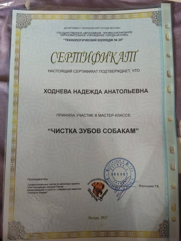 Документ или сертификат