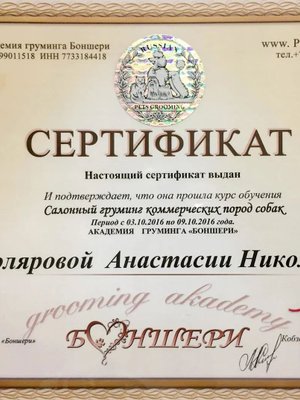 Фото «Столярова Анастасия Николаевна»