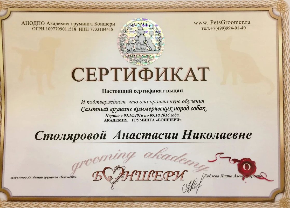 Документ или сертификат