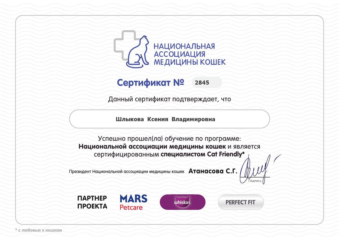Документ или сертификат
