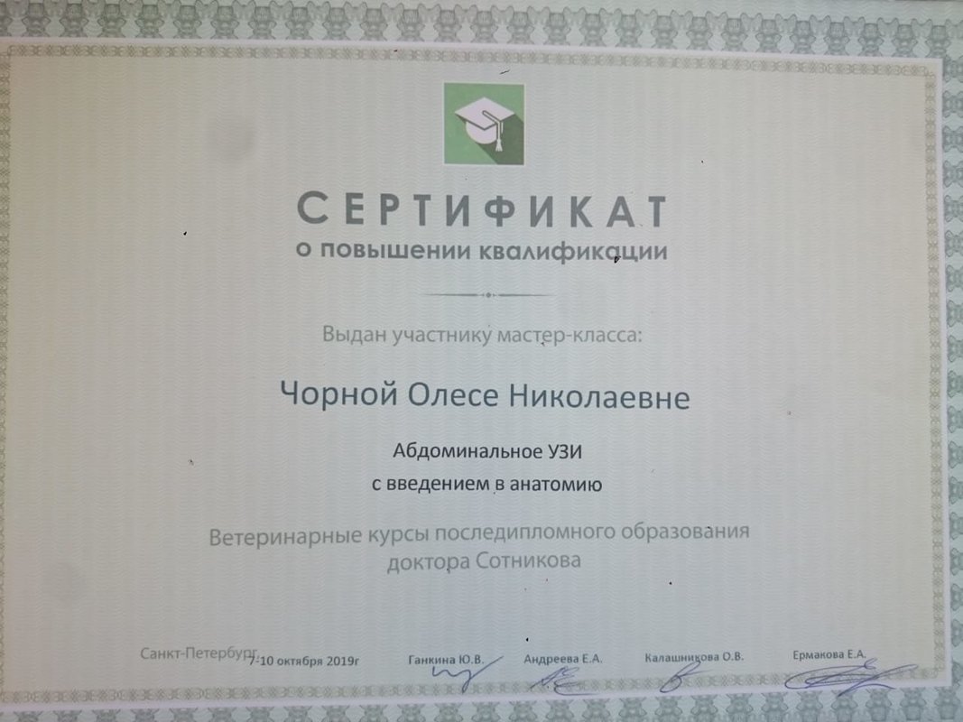 Документ или сертификат