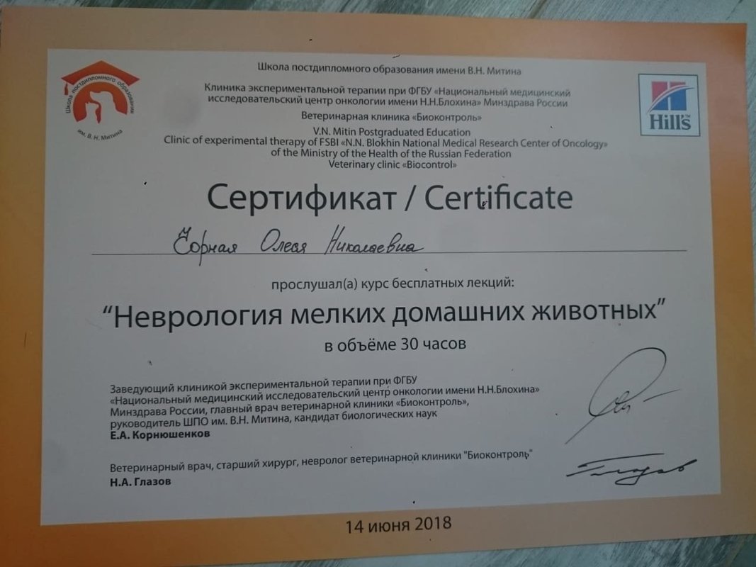 Документ или сертификат