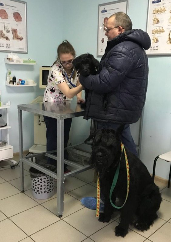 Фото врача