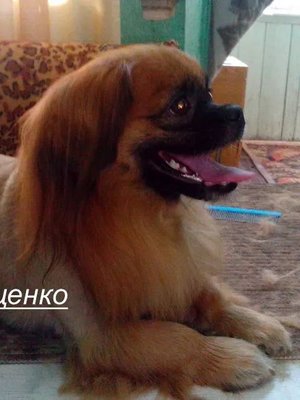 Фото «Мищенко Ирина Анатольевна»