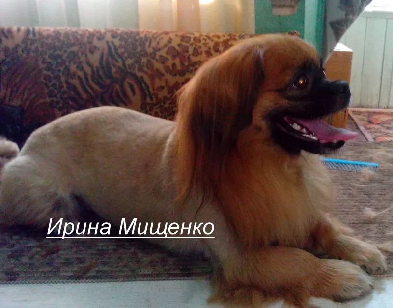 Фото врача
