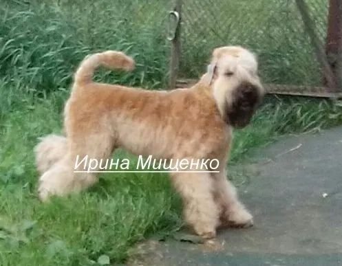 Фото врача