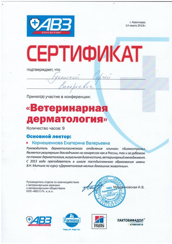 Документ или сертификат
