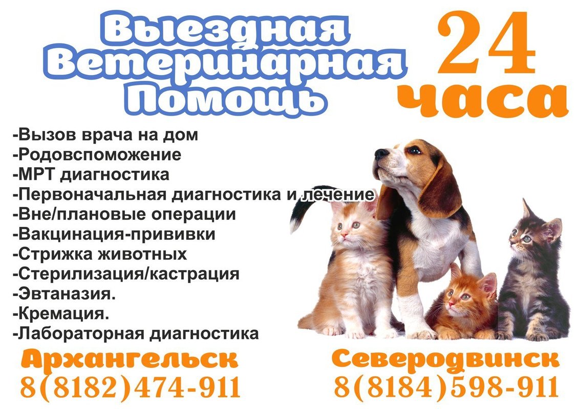 Фото врача