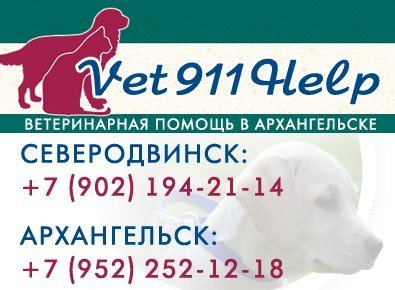 Фото врача