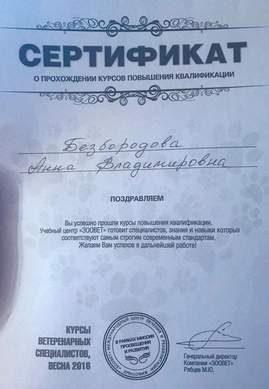 Документ или сертификат
