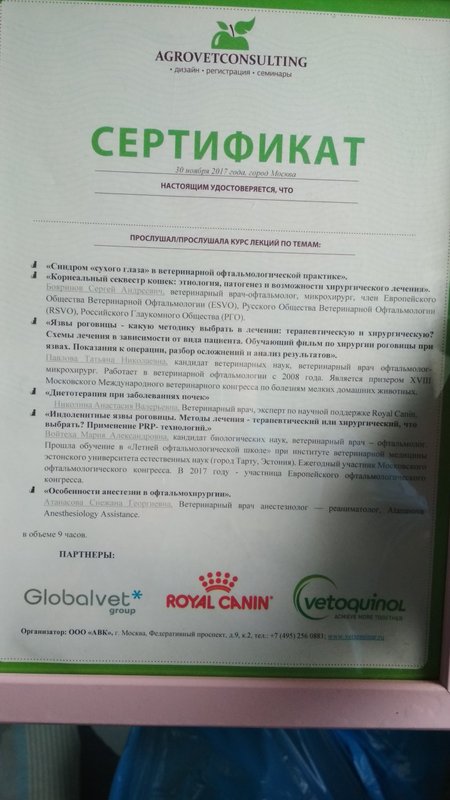 Документ или сертификат