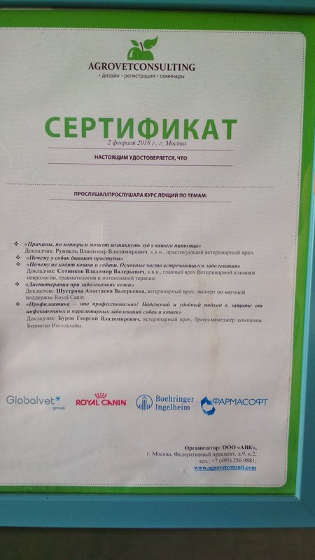 Документ или сертификат