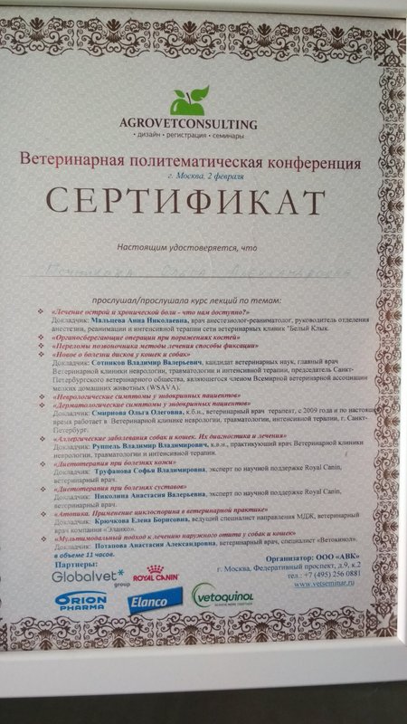 Документ или сертификат