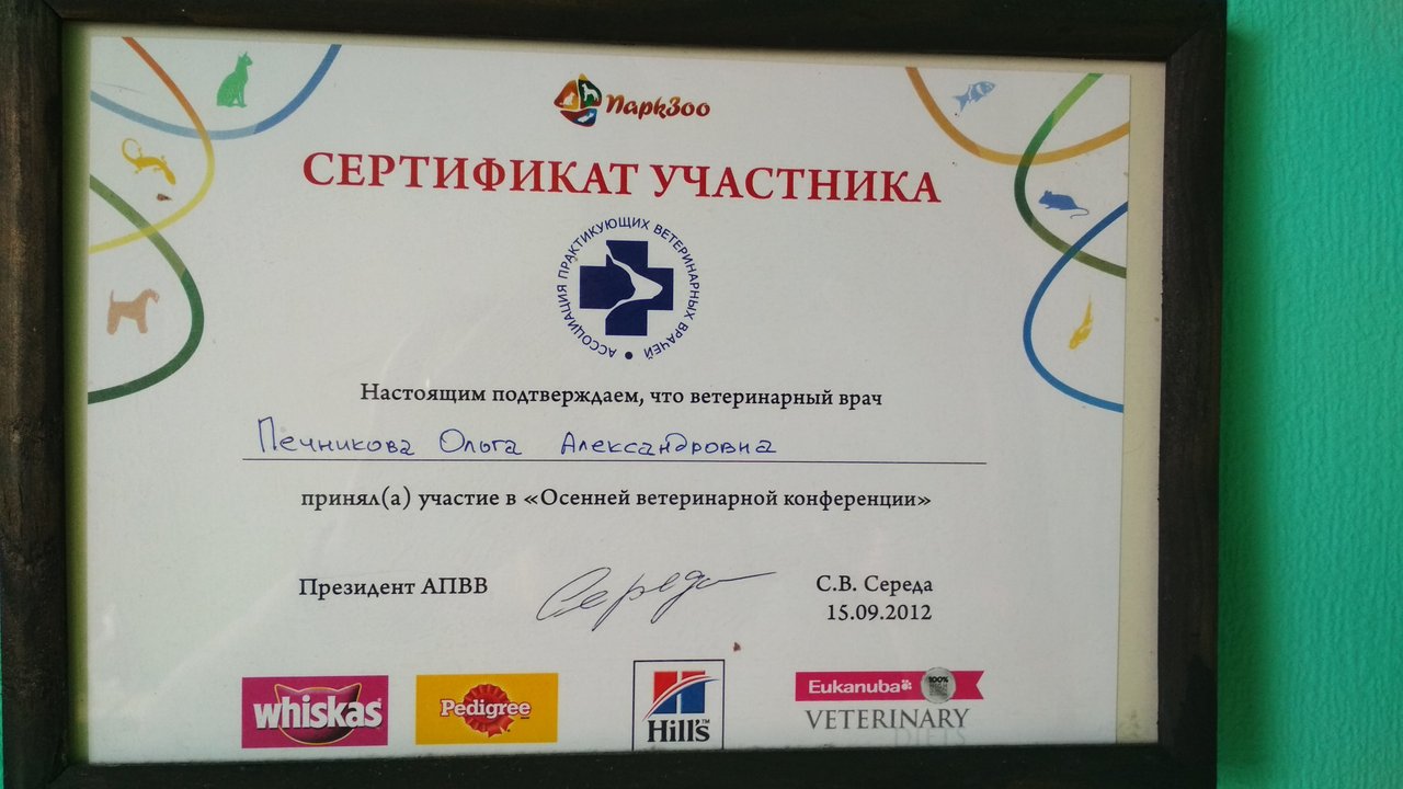Документ или сертификат