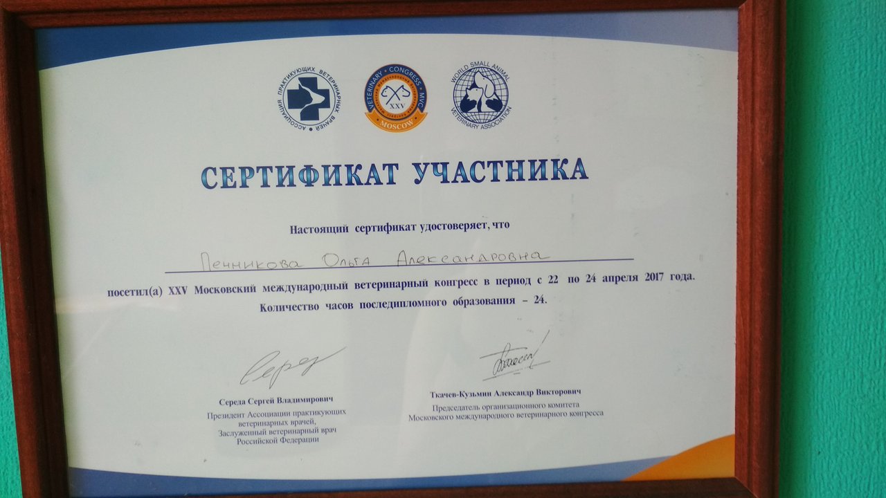 Документ или сертификат