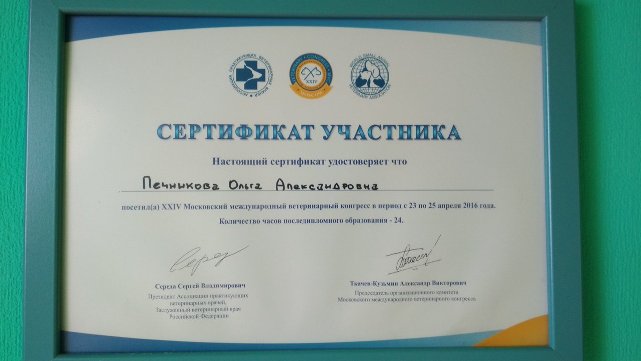 Документ или сертификат