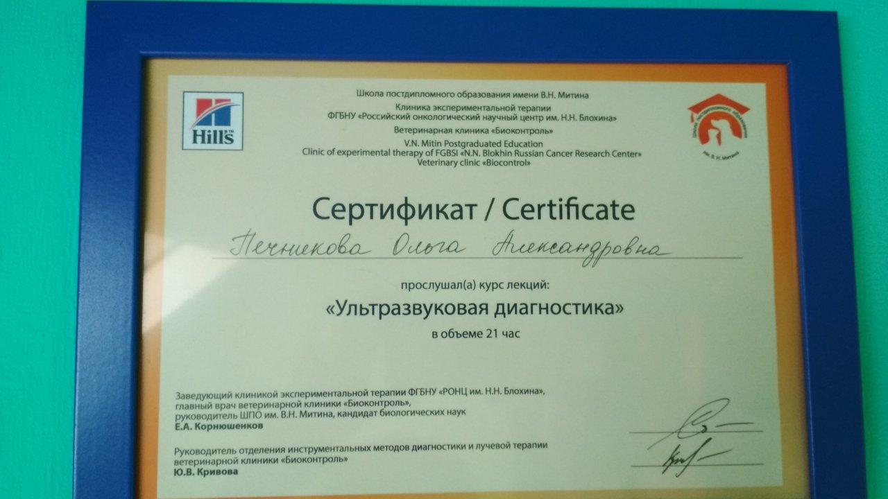 Документ или сертификат