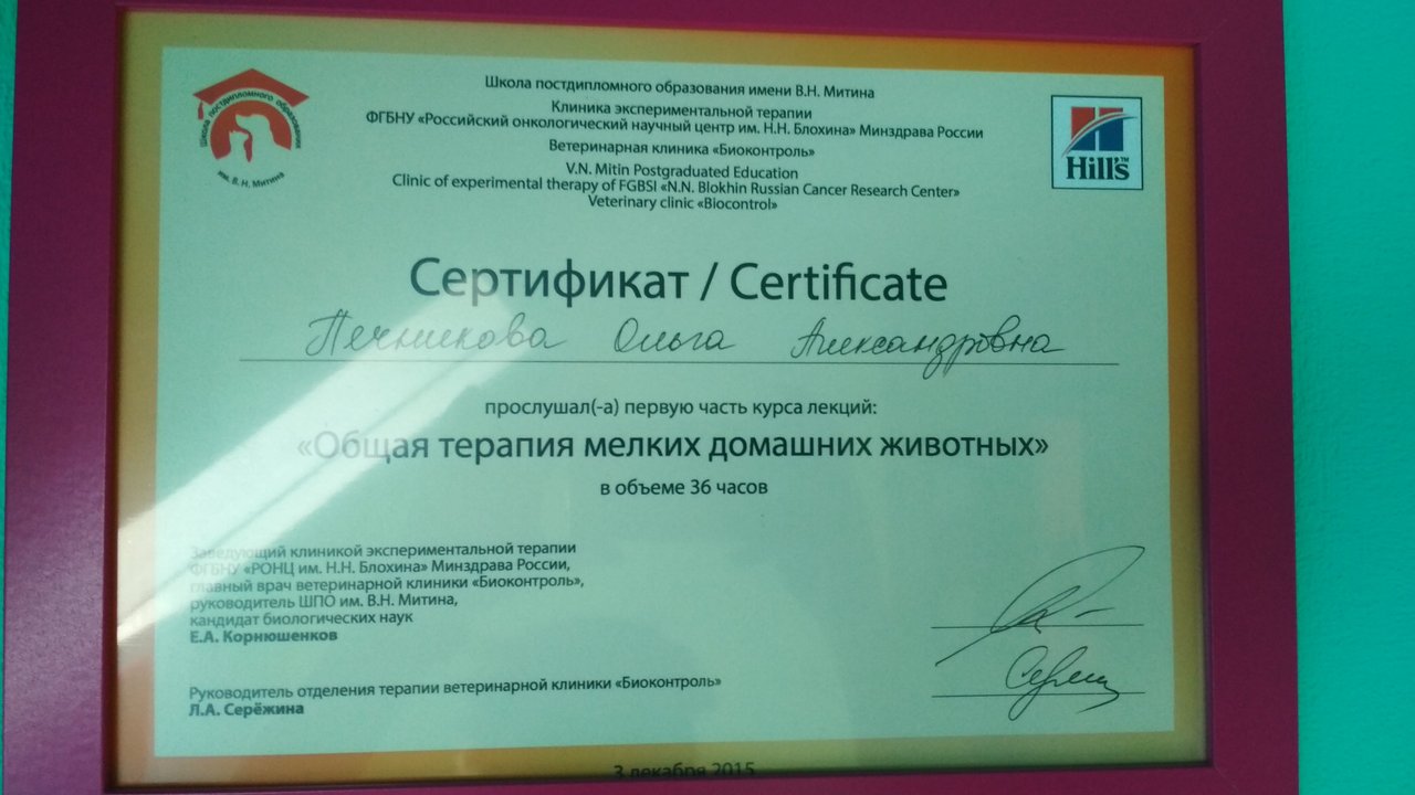 Документ или сертификат