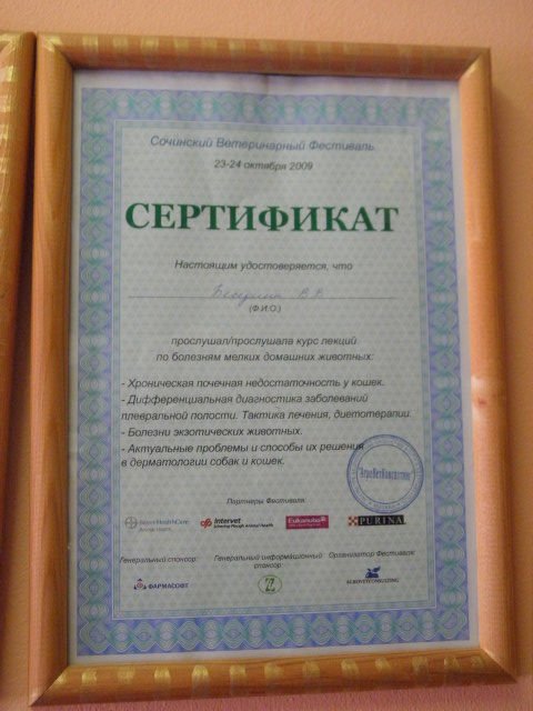 Документ или сертификат