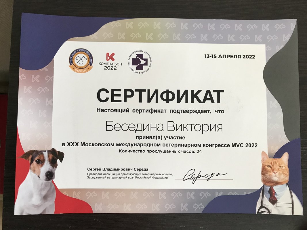 Документ или сертификат