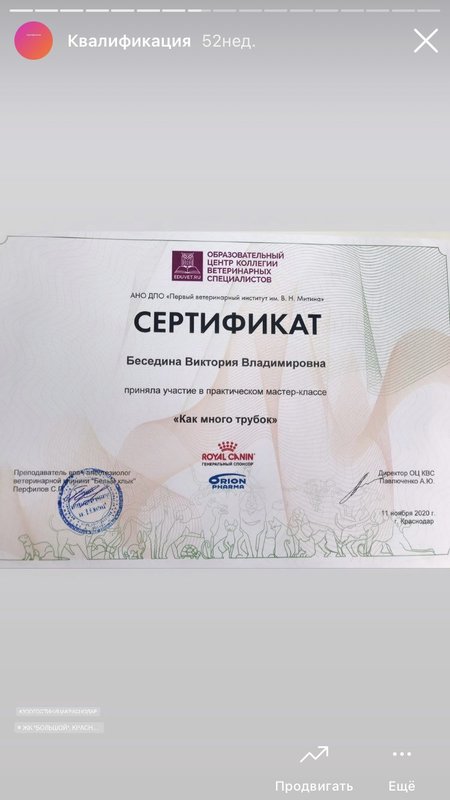 Документ или сертификат