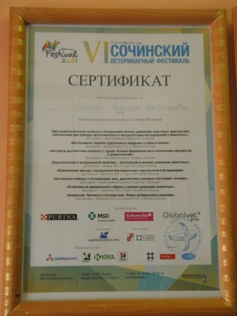 Документ или сертификат