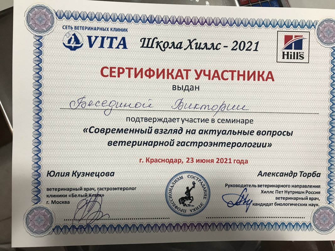 Документ или сертификат