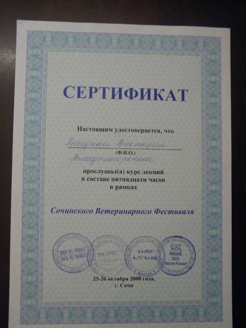 Документ или сертификат