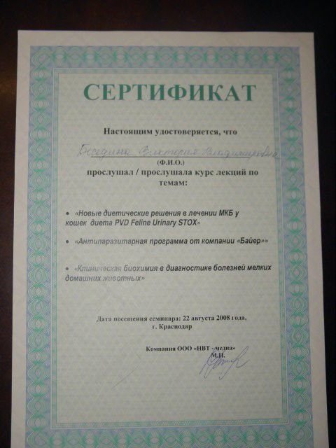 Документ или сертификат