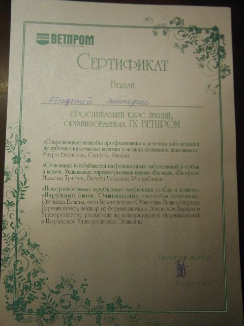 Документ или сертификат