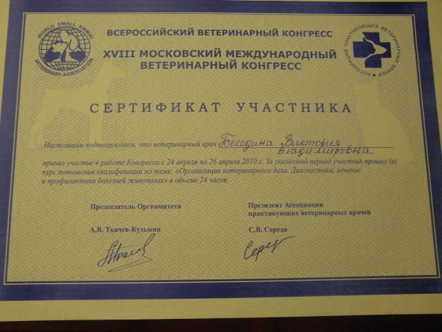 Документ или сертификат