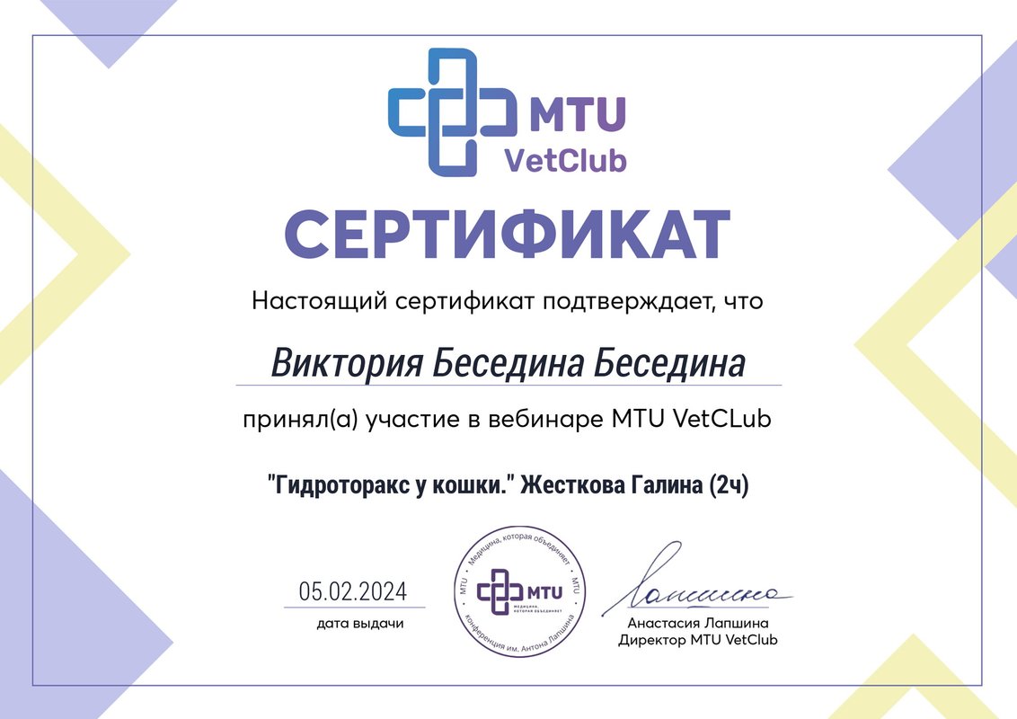 Документ или сертификат