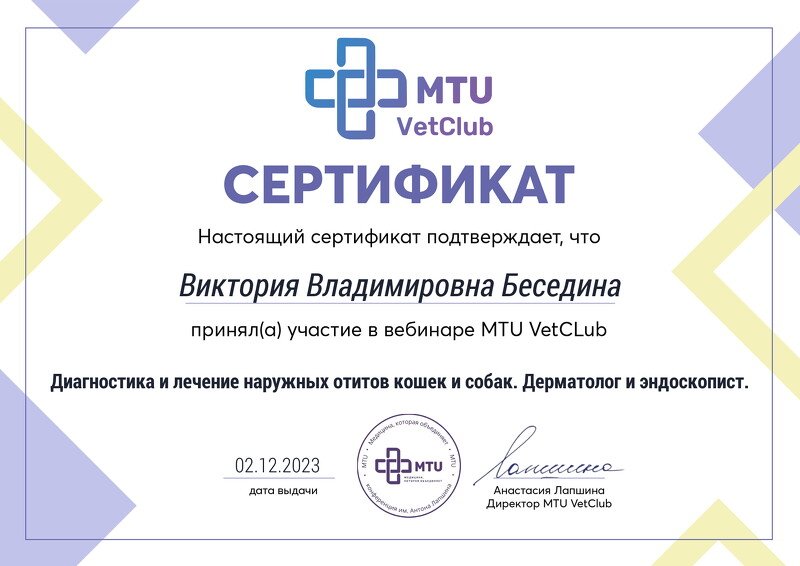 Документ или сертификат