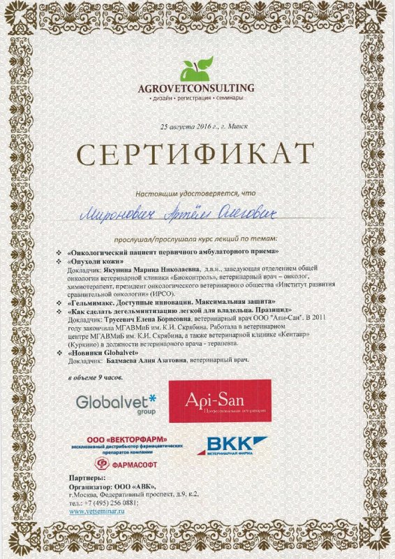 Документ или сертификат