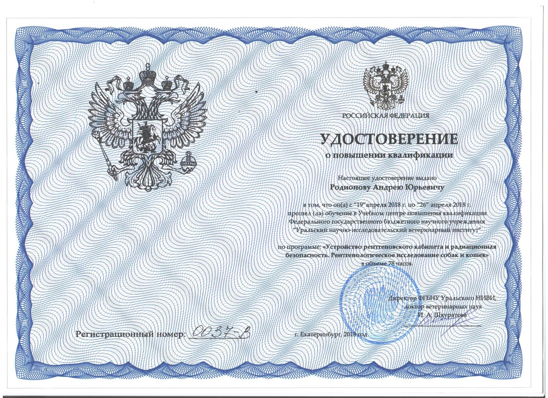 Документ или сертификат