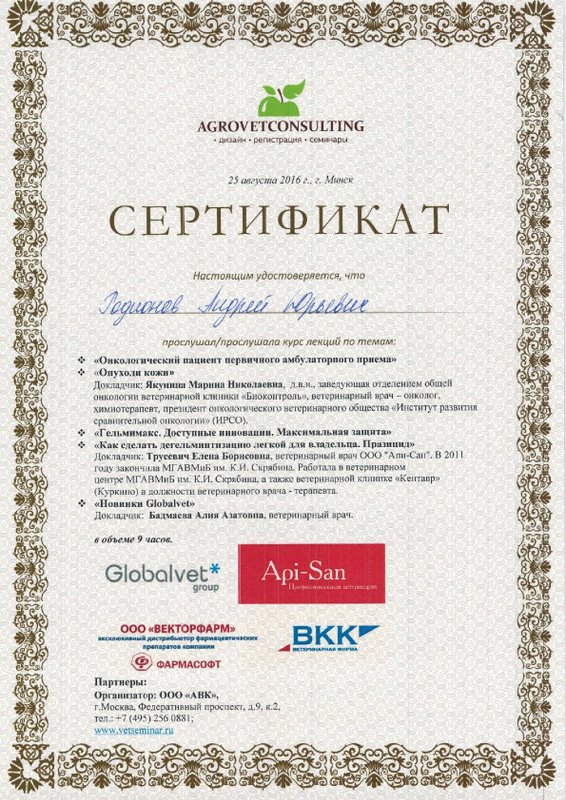 Документ или сертификат