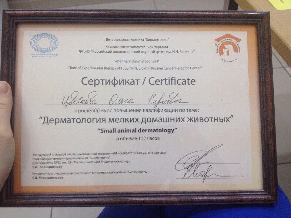 Документ или сертификат