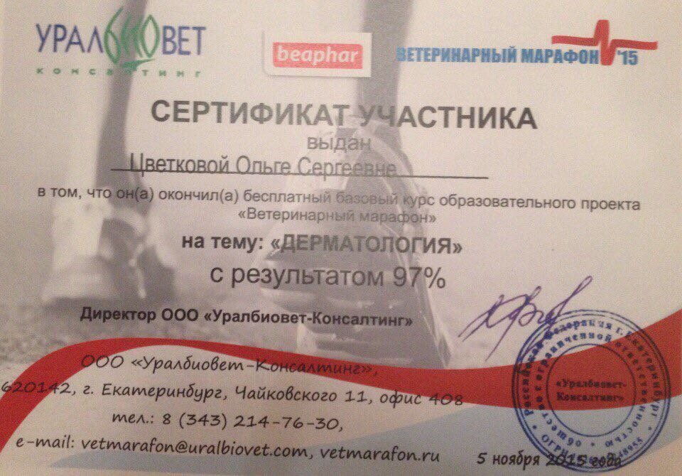 Документ или сертификат