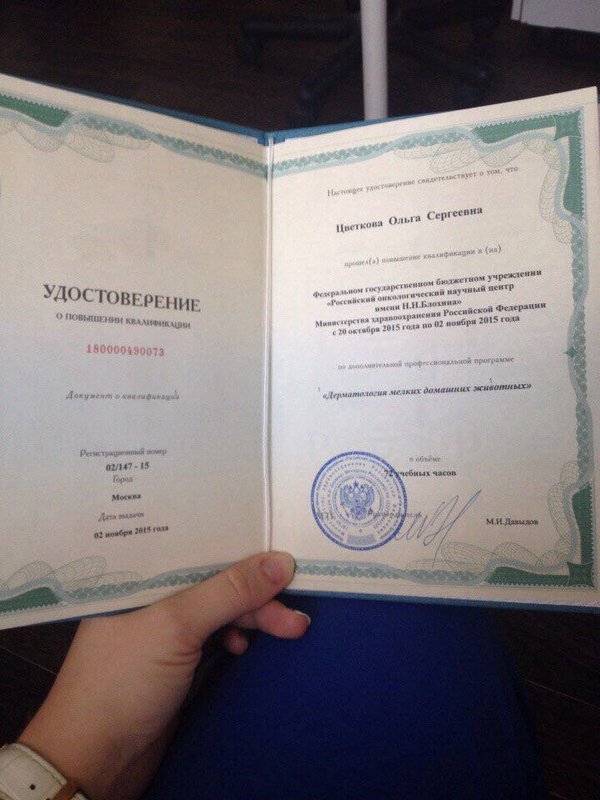 Документ или сертификат